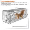 Humane Cat Trap Cage Catch Release Live Animal Rodent Cage Collapsible Galvanized Wire for Small Raccoons Beavers Groundhogs Foxes Armadillos