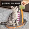 Cat Condo Scratcher Post Cardboard, Sailboat Shape Cat Scratching Board, 21.26x13.78x15.75 inch