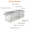 Humane Cat Trap Cage Catch Release Live Animal Rodent Cage Collapsible Galvanized Wire for Small Raccoons Beavers Groundhogs Foxes Armadillos