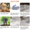 Humane Cat Trap Cage Catch Release Live Animal Rodent Cage Collapsible Galvanized Wire for Small Raccoons Beavers Groundhogs Foxes Armadillos