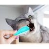 Fish Shape Built-in Small Bell Cat Pet Toothbrush Refillable Catnip Simulation Fish Teeth Cleaning 2 in 1 Chew Toys