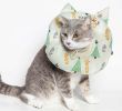 Touchcat 'Ringlet' Licking and Scratching Adjustable Pillow Cat Neck Protector